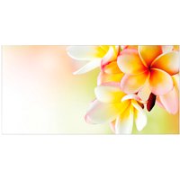 mySPOTTI Badrückwand »Hawaii«, BxH:90 cm x 45 cm, orange von mySPOTTI