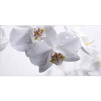 mySPOTTI Badrückwand »Orchid«, BxH:90 cm x 45 cm, weiß von mySPOTTI