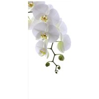 mySPOTTI Badrückwand »Orchid Phala«, BxH:100 cm x 210 cm, weiß von mySPOTTI