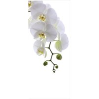 mySPOTTI Badrückwand »Orchid Phala«, BxH:90 cm x 210 cm, weiß von mySPOTTI