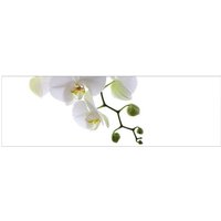 mySPOTTI Badrückwand »Orchidee Phala«, BxH:140 cm x 45 cm, weiß von mySPOTTI