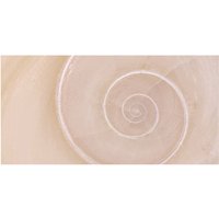 mySPOTTI Badrückwand »Schnecke«, BxH:90 cm x 45 cm, beige von mySPOTTI