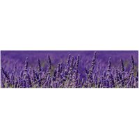 mySPOTTI Küchenrückwand »Lavendel«, Aluverbund, Lavendel-Design von mySPOTTI