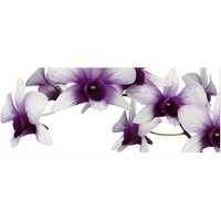mySPOTTI Küchenrückwand »Orchidee lila«, Aluverbund, Orchidee von mySPOTTI