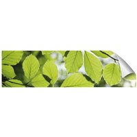 mySPOTTI Küchenrückwand-Panel »fixy«, grün - gruen von mySPOTTI