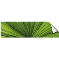mySPOTTI Küchenrückwand-Panel »fixy«, grün - gruen von mySPOTTI