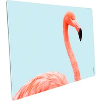 mySPOTTI Mini-Spritzschutz »Flamingo aque«, Aluverbund, Flamingo von mySPOTTI