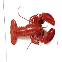 mySPOTTI Mini-Spritzschutz »Hummer«, Aluverbund, Hummer mySPOTTI Mini-Spritzschutz »Hummer«, Aluverbund, Hummer von mySPOTTI