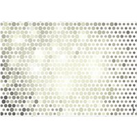 mySPOTTI Mini-Spritzschutz »Magnificant silber«, Aluverbund, Punkte von mySPOTTI