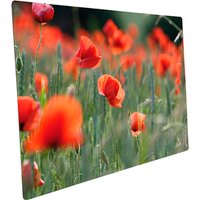 mySPOTTI Mini-Spritzschutz »Mohn«, Aluverbund, Mohnfeld von mySPOTTI