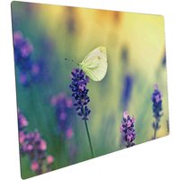mySPOTTI Mini-Spritzschutz »Sommerwiese«, Aluverbund, Blumen von mySPOTTI