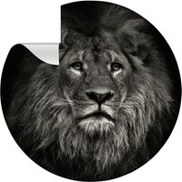 mySPOTTI Vliestapete »Lion«, Tiermotiv, Löwe, grau/weiß, matt von mySPOTTI