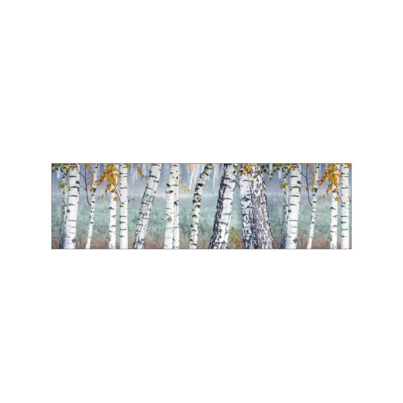 MySpotti Küchenrückwand Profix Cucina Birkenwald 210 x 60 cm Birke-Weiß von mySPOTTi