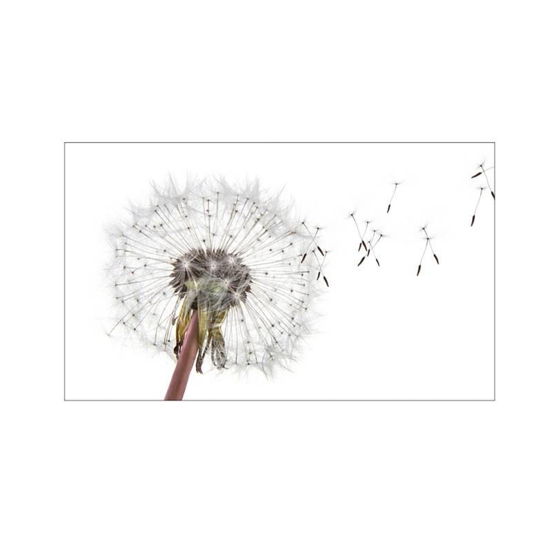 MySpotti Küchenrückwand Profix Cucina Dandelion 100 x 60 cm Weiß-Grau von mySPOTTi