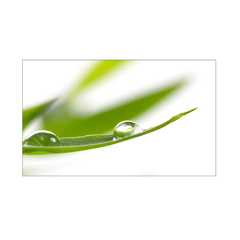 MySpotti Küchenrückwand Profix Cucina Dew Drop 100 x 60 cm Grasgrün von mySPOTTi