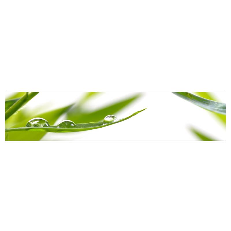 MySpotti Küchenrückwand Profix Cucina Dew Drop 270 x 60 cm Grasgrün von mySPOTTi