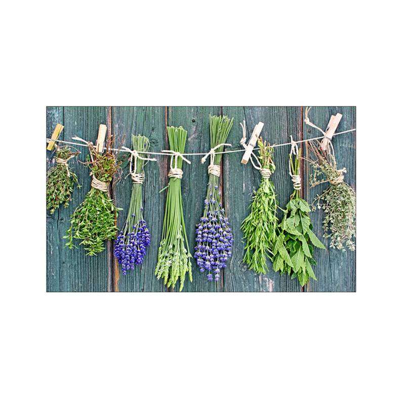MySpotti Küchenrückwand Profix Cucina Kräuter Provence 100 x 60 cm Grün von mySPOTTi