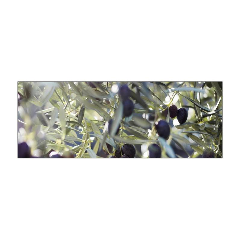 MySpotti Küchenrückwand Profix Cucina Olivenbaum 160 x 60 cm Blau-Grün von mySPOTTi
