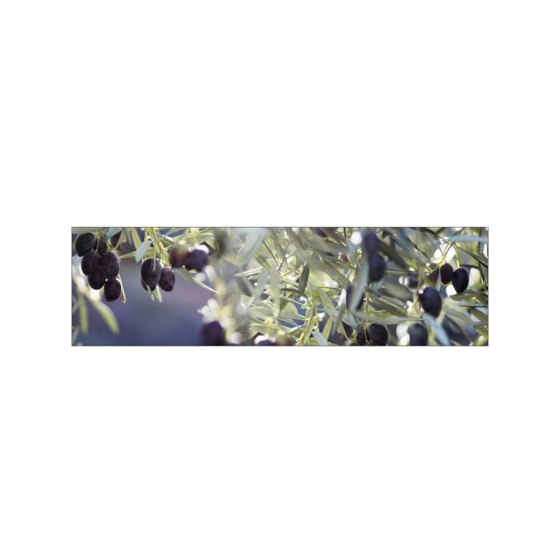 MySpotti Küchenrückwand Profix Cucina Olivenbaum 210 x 60 cm Violettfarben von mySPOTTi