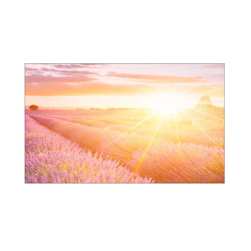 MySpotti Küchenrückwand Profix Cucina Provence 100 x 60 cm Lila Mix von mySPOTTi