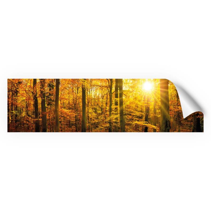 Myspotti Küchenrückwandfolie Herbstwald Selbstklebend 220 cm x 60 cm von mySPOTTi