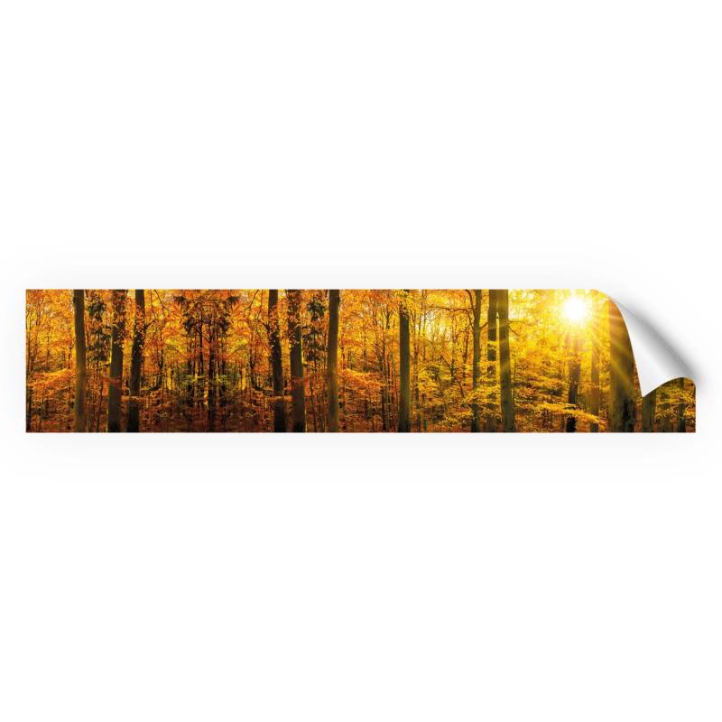 Myspotti Küchenrückwandfolie Herbstwald Selbstklebend 280 cm x 60 cm von mySPOTTi