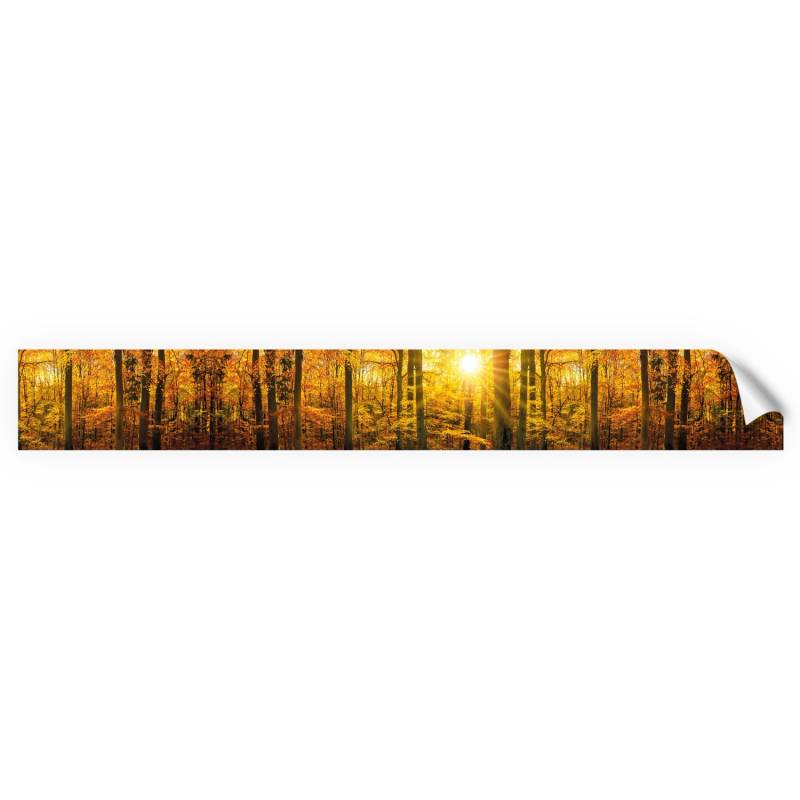 Myspotti Küchenrückwandfolie Herbstwald Selbstklebend 450 cm x 60 cm von mySPOTTi
