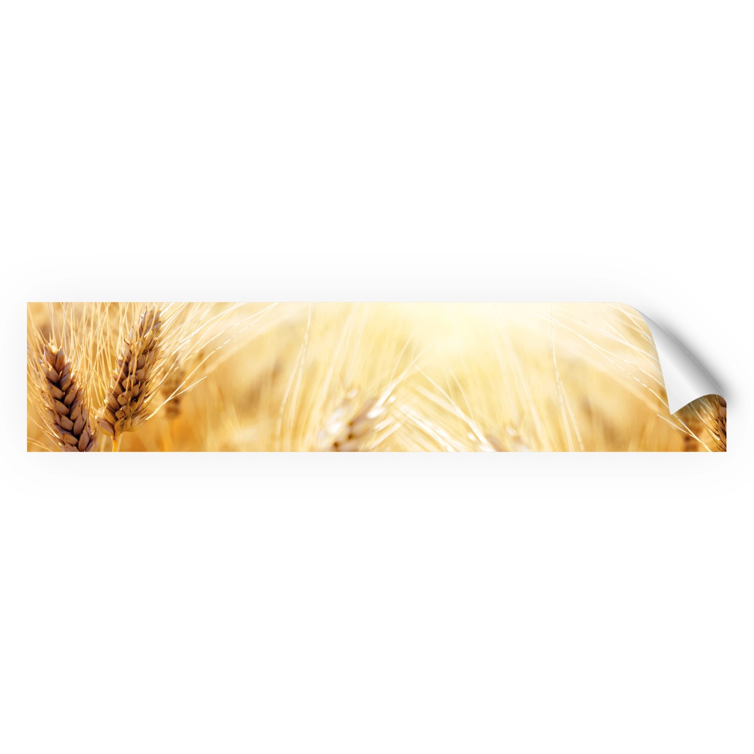 Myspotti Küchenrückwandfolie Korn Selbstklebend 280 cm x 60 cm von mySPOTTi