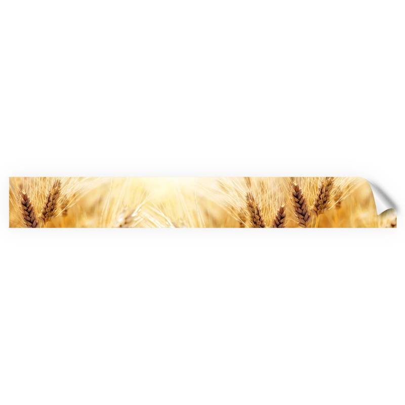 Myspotti Küchenrückwandfolie Korn Selbstklebend 450 cm x 60 cm von mySPOTTi