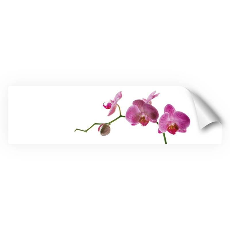 Myspotti Küchenrückwandfolie Orchidee Pink Selbstklebend 220 cm x 60 cm von mySPOTTi