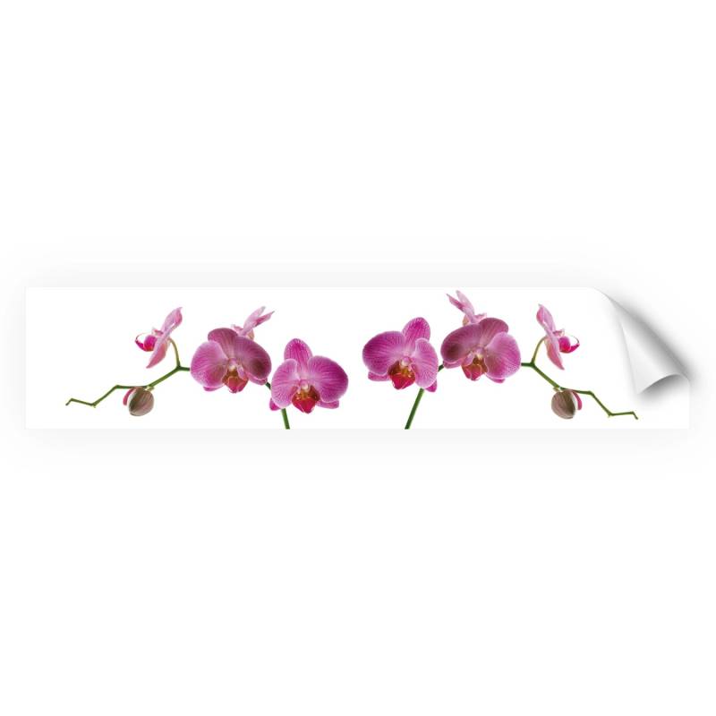 Myspotti Küchenrückwandfolie Orchidee Pink Selbstklebend 280 cm x 60 cm von mySPOTTi