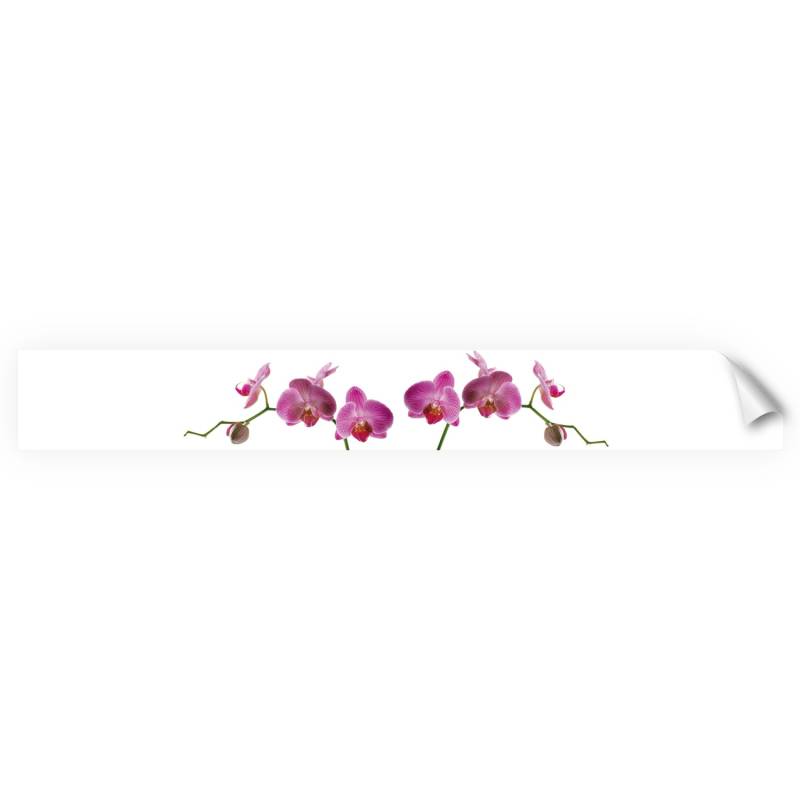 Myspotti Küchenrückwandfolie Orchidee Pink Selbstklebend 450 cm x 60 cm von mySPOTTi