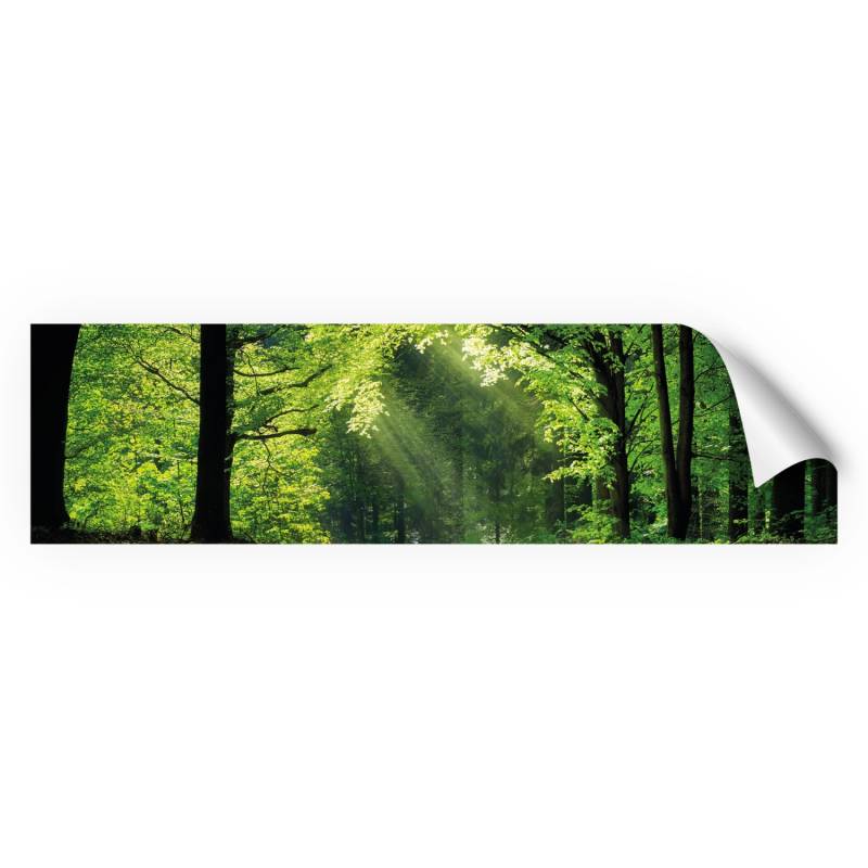 Myspotti Küchenrückwandfolie Sommerwald Selbstklebend 220 cm x 60 cm von mySPOTTi