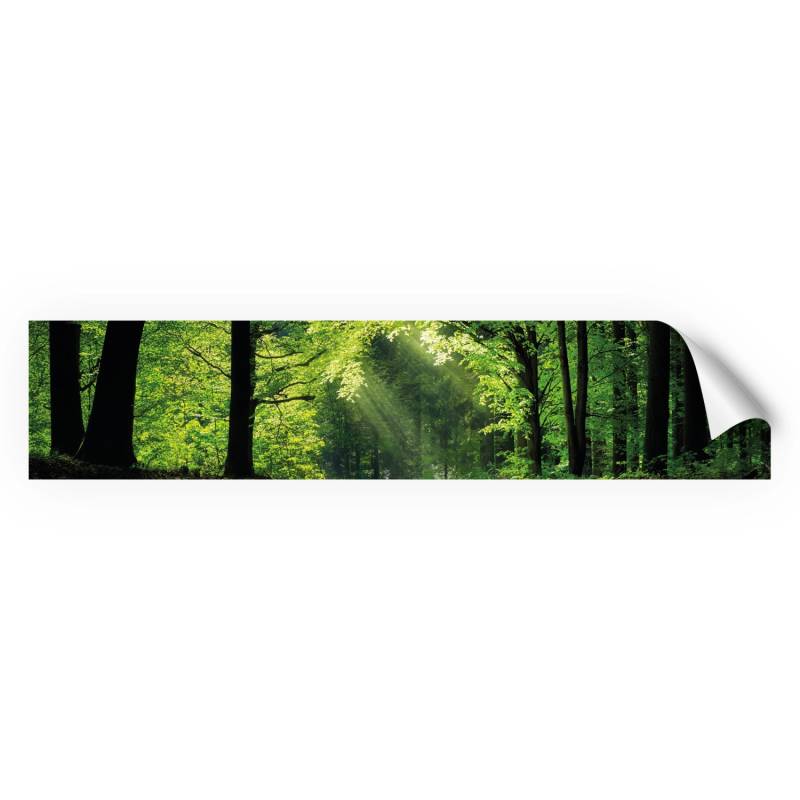 Myspotti Küchenrückwandfolie Sommerwald Selbstklebend 280 cm x 60 cm von mySPOTTi