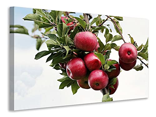 Leinwandbild Close up Apfelbaum, Maße:45x30cm von myangels