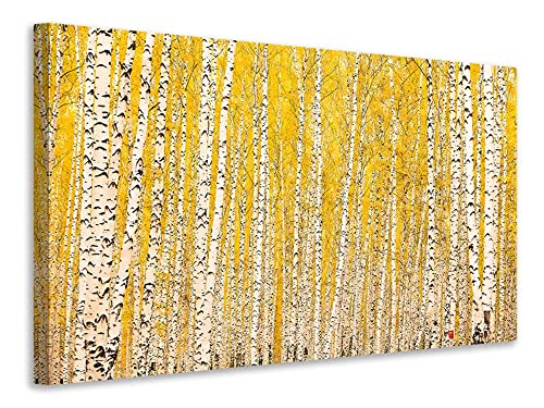 Leinwandbild Der Birkenwald im Herbst, Maße:120x80cm von myangels