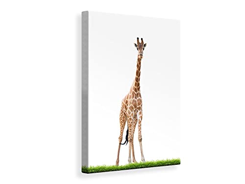 Leinwandbild Die lange Giraffe, Maße:50x75cm von myangels