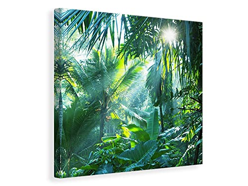 Leinwandbild Im Tropenwald, Maße:40x40cm von myangels