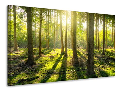 Leinwandbild Mitten im Wald, Maße:60x40cm von myangels
