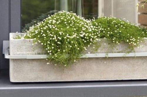 myangels Blumenkastenhalterung Fenster Blumenkastenhalter verstellbar Aluminium Druckguss von myangels