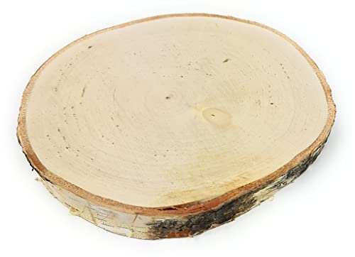 Echte Natur Holzscheibe mit Rinde Oberfläche glatt geschliffen Deko zum Basteln und Dekorieren (1) von mygoodtime
