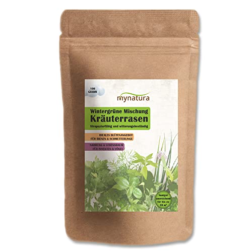 Kräuterrasen Kräuter | Rasen | Rasenfläche | Vielfalt | witterungsbeständig | Insekten | Vögel | Bienen (1x100g) von mynatura