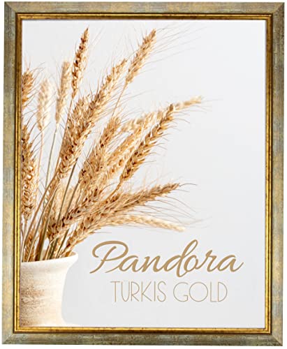 myposterframe Bilderrahmen Aged Vintage 41 x 61 cm Pandora Echtholz Türkis Gold mit Kunstglas klar 1 mm von myposterframe