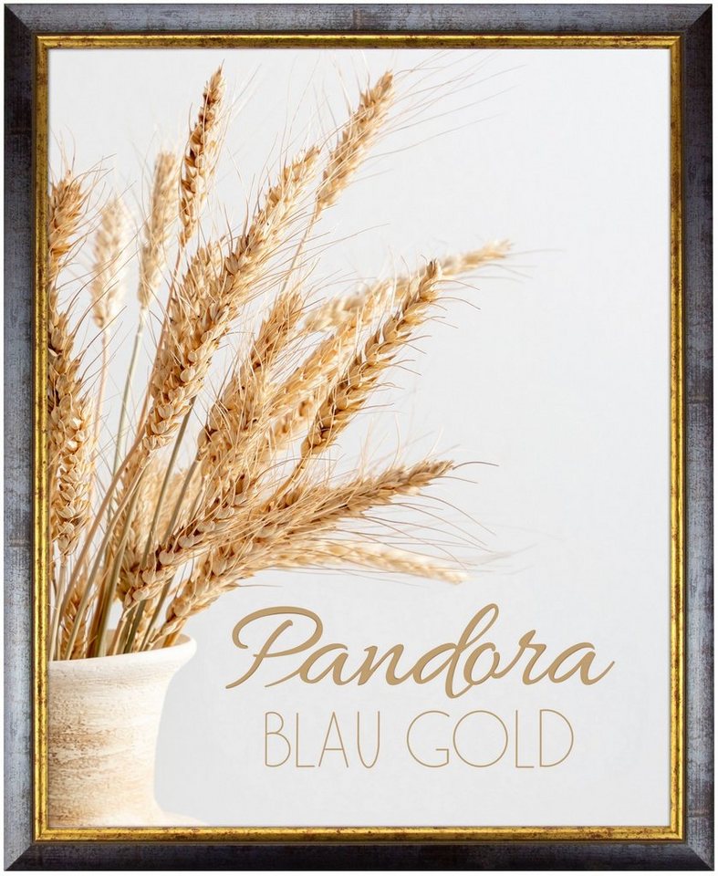 myposterframe Einzelrahmen Bilderrahmen Aged Vintage Pandora, (1 Stück), 50x70 cm, Blau Gold, Echtholz von myposterframe
