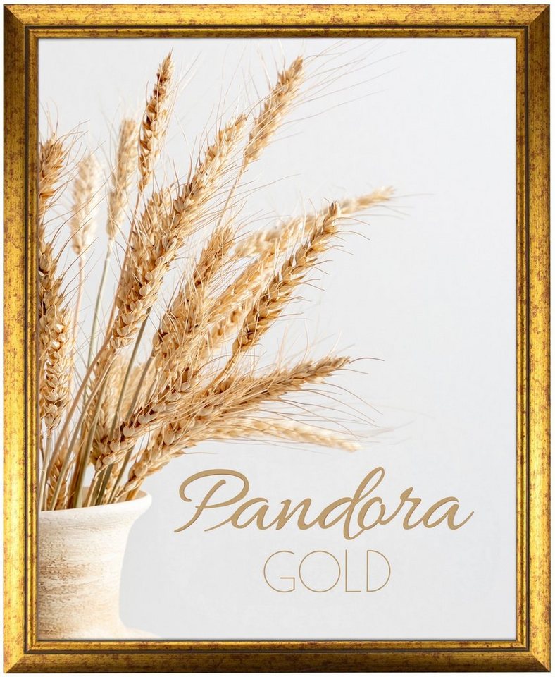 myposterframe Einzelrahmen Bilderrahmen Aged Vintage Pandora, (1 Stück), 70x100 cm, Gold, Echtholz von myposterframe