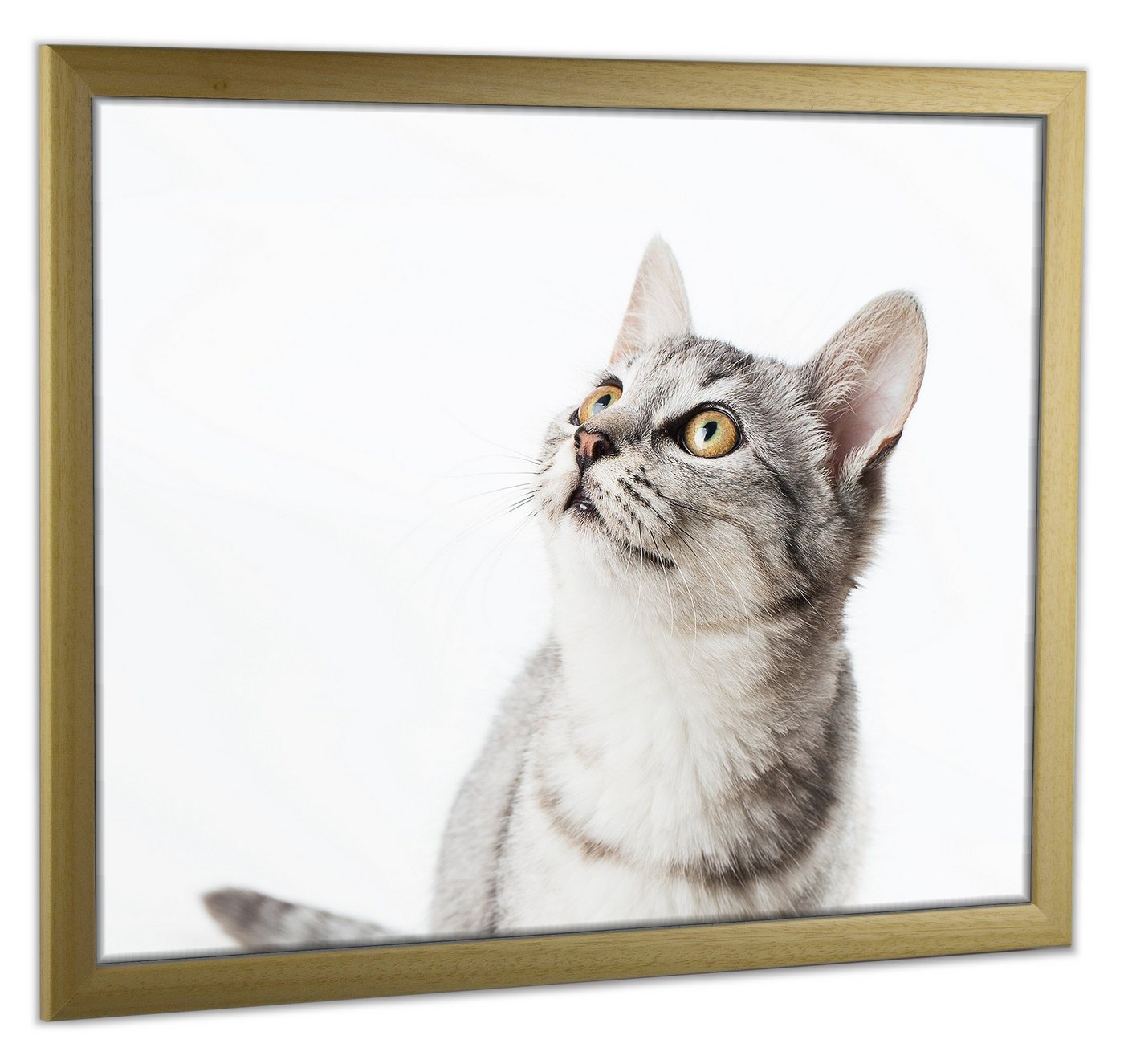 myposterframe Einzelrahmen Bilderrahmen Cupid Bunt, (1 Stück), 20x60 cm, Warmes Gelb, Echtholz von myposterframe