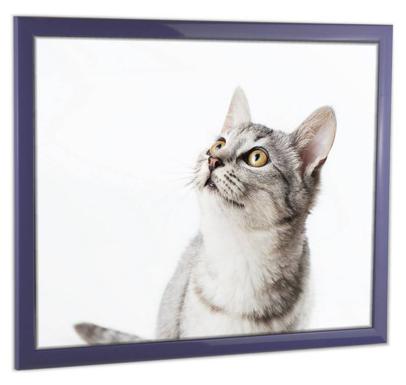 myposterframe Einzelrahmen Bilderrahmen Cupid Bunt, (1 Stück), 42x59,4 cm DIN A2, Lila, Echtholz von myposterframe