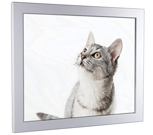 myposterframe Komfort Juno 25 x 35 cm Rahmen Weiß myposterframe Komfort Juno 25 x 35 cm Rahmen Weiß von myposterframe