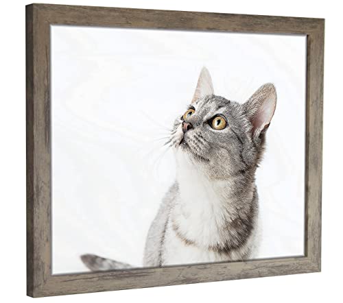 myposterframe Komfort Juno 69 x 97 cm Rahmen Wildeiche von myposterframe