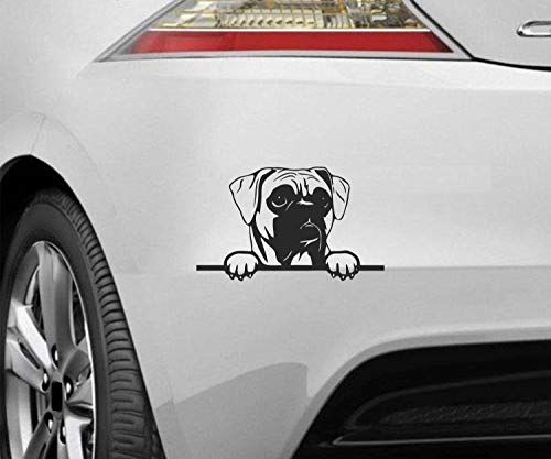 myrockshirt Peeking Dog Spähender Hund Boxer ca.20cm Aufkleber,Sticker,Decal,Autoaufkleber,UV&Waschanlagenfest,Profi-Qualität,Wandtattoo von myrockshirt